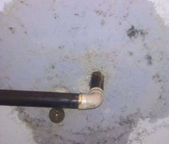 东坡卫生间防水哪家好
