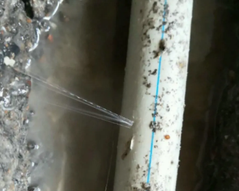 东坡卫生间测漏水多少钱