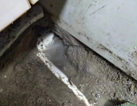东坡卫生间测漏水多少钱